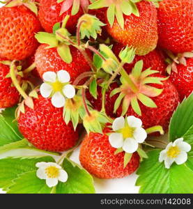 Bright background of ripe appetizing strawberries.