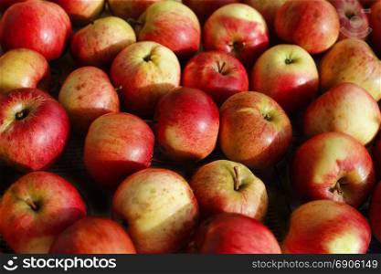 Bright beautiful ripe red and yellow apples