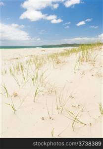 Bright blue sky with white sand and green grass on the sand dunes
