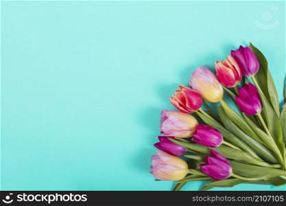 bright bouquet tulips corner