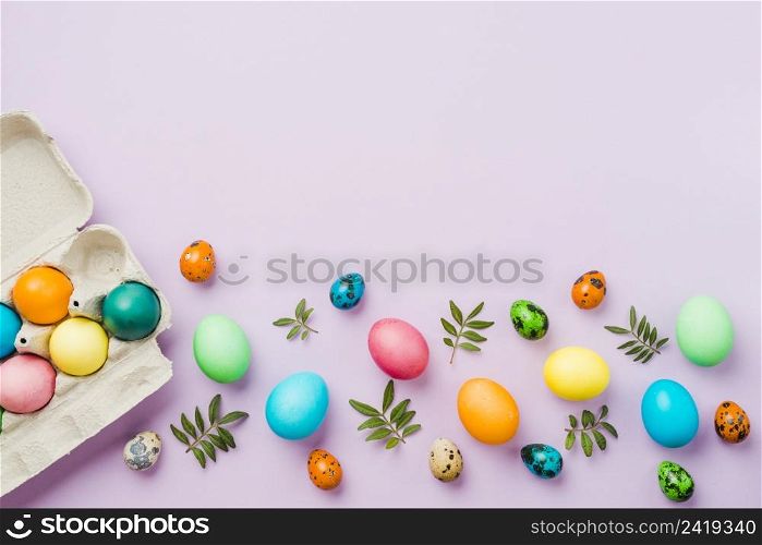 bright collection row colored eggs near container leaves