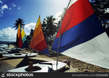 Bright colored sails on windsurf boards in Jamaica