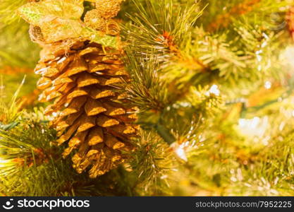 Bright colorful decorations on a Christmas Tree.