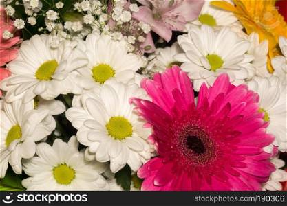 Bright colorful flowers in a decorative bouquet close up.