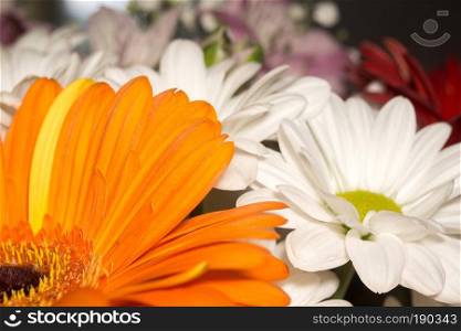 Bright colorful flowers in a decorative bouquet close up.