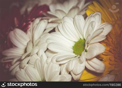 Bright colorful flowers in a decorative bouquet close up, vintage background.