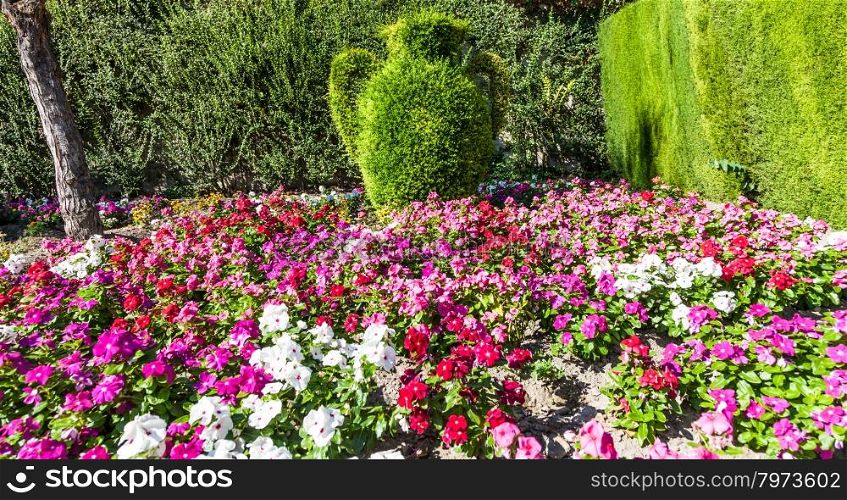 Bright colors in this photography of a luxury Italian garden