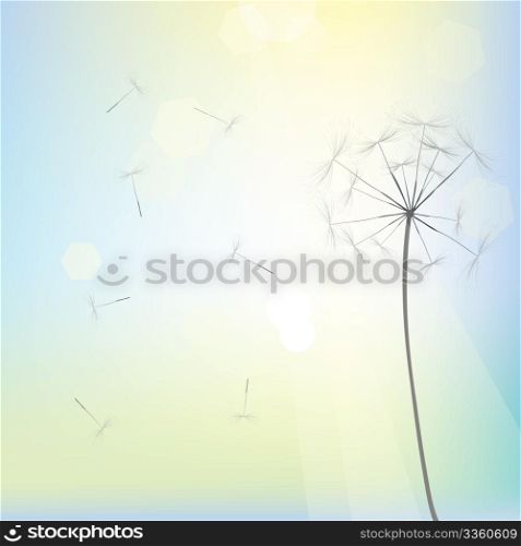Bright dandelion design, vector art
