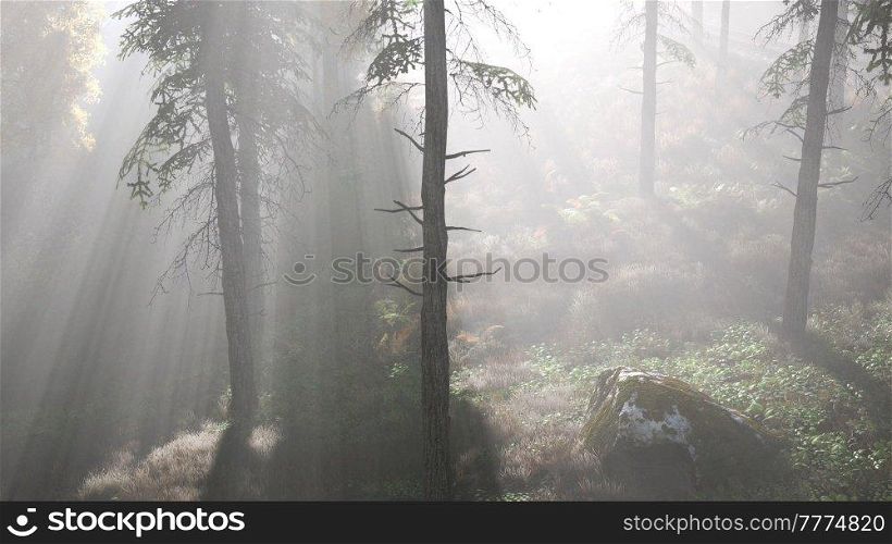 bright early morning forest in mountains
