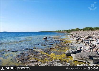 Bright flat rock coast by summer season at the swedish island Oland in the Baltic Sea