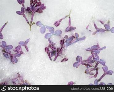 Bright flowers lying in the ice. Close-up, no people, texture. Congratulations for family, relatives, friends and colleagues. Bright flowers lying in the ice. Close-up, no people