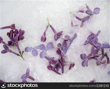 Bright flowers lying in the ice. Close-up, no people, texture. Congratulations for family, relatives, friends and colleagues. Bright flowers lying in the ice. Close-up, no people