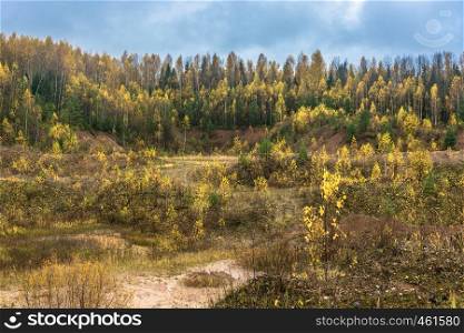 Bright Golden autumn in the Kostroma region in October day.