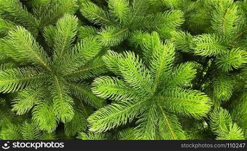 Bright green branches of an artificial Christmas tree, close-up background
