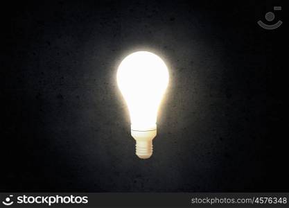 Bright idea in darkness. Illuminated glass light bulb on dark background