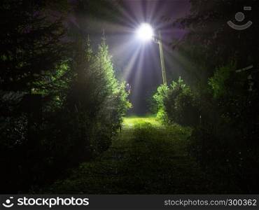 Bright lantern illuminating the village road. Bright night lantern on the village road