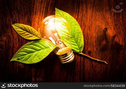 Bright light bulb on green leafs at a wooden table
