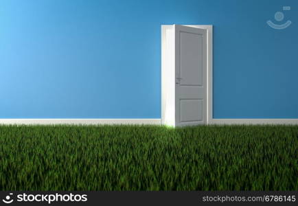 Bright light shining through open door in room with growing grass on floor. Concept of nature. 3d render