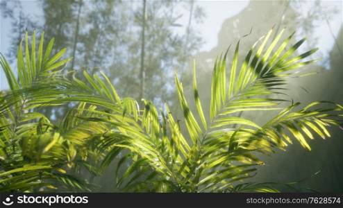 bright light shining through the humid misty fog and jungle leaves, lush green tropical forest. bright light shining through the humid misty fog and jungle leaves