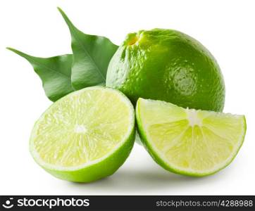 Bright lime green with leaves isolated on white background