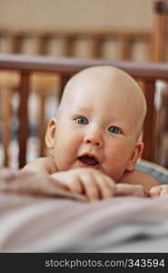 Bright little boy kid baby without hair closeup