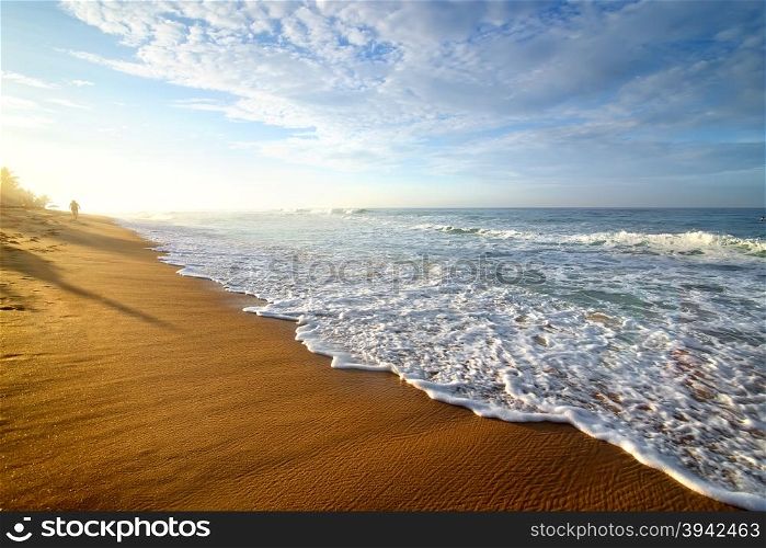 Bright morning on a sandy beach of the ocean