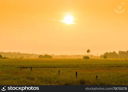 bright orange sun at sunrise over a field in the tropics