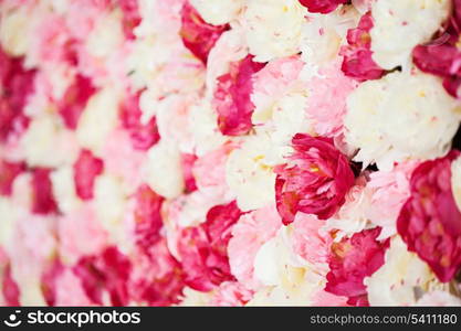 bright picture of background full of white and pink peonies