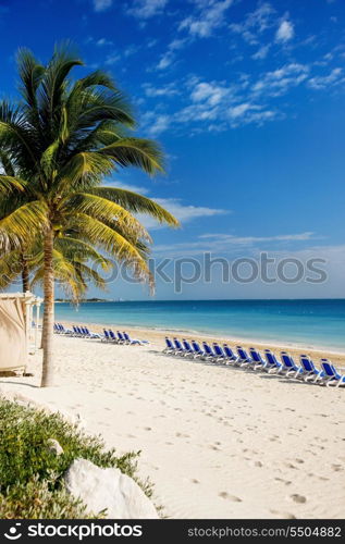 bright picture of beautiful caribbean tropical resort