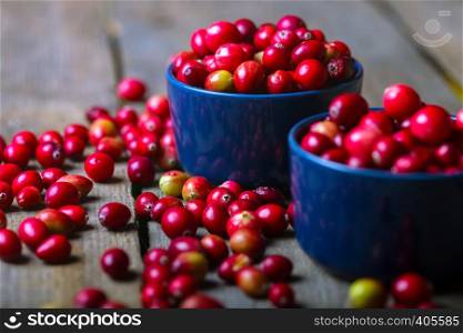 Bright red cranberries in a beautiful blue bowl on a wooden table, close-up