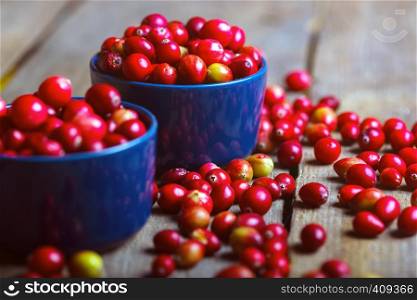 Bright red cranberries in a beautiful blue bowl on a wooden table, close-up