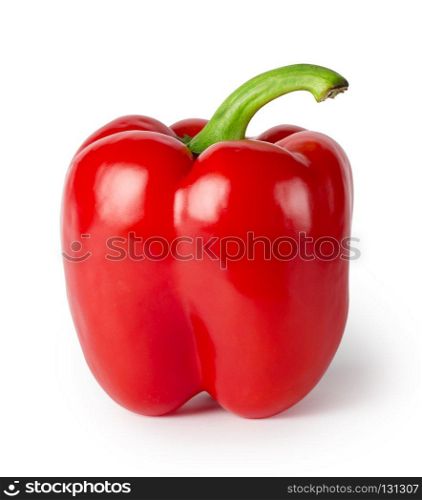 Bright red peppers with handle isolated on white background. Bright red peppers with handle