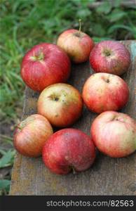Bright ripe apples close-up outdoor