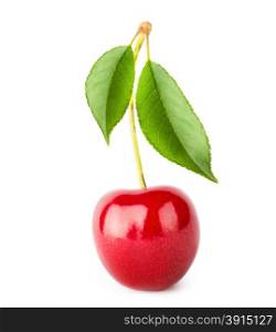 Bright ripe cherry with leaves isolated on white background. Bright ripe cherry with leaves