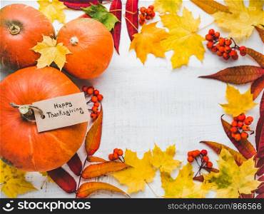 Bright, ripe pumpkins and red, autumn leaves on a white isolated background. Top view, close-up. Preparing for Thanksgiving. Congratulations to family, loved ones, friends and colleagues. Bright, ripe pumpkins and red, autumn leaves