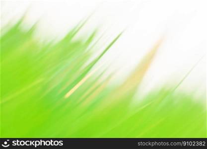 Bright spring grass field defocused. Abstract spring nature defocused bokeh effect background.. Abstract sunny spring defocused background. Spring forest defocused background and sun flares.