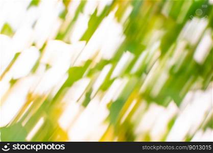 Bright spring grass field defocused. Spring forest defocused background and sun flares.. Abstract spring nature defocused bokeh effect background. Abstract spring defocused background