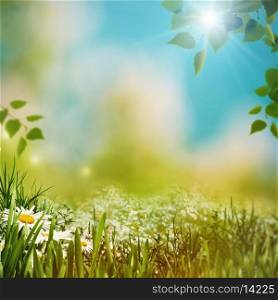 Bright summer afternoon. Natural backgrounds