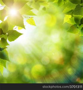 Bright summer day in the forest, environmental backgrounds