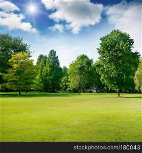 Bright summer sunny day in park with green grass and trees. Space for text.