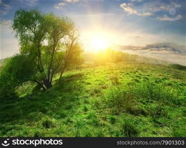 Bright sun over hill with green grass