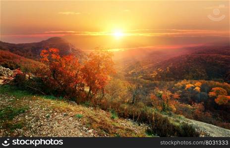 Bright sun over mountains in red autumn