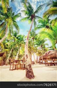 Bright sunny day on the luxury tropical beach resort, cute cozy restaurant under fresh green palms, happy summer vacation in Mexico, North America