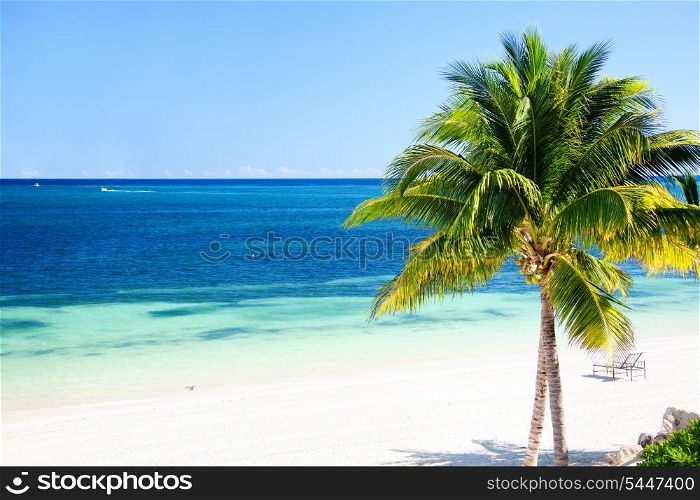 bright sunny picture of beautiful tropical beach