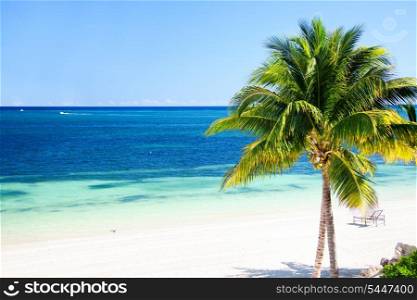 bright sunny picture of beautiful tropical beach