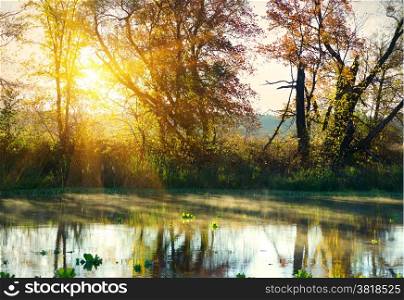 Bright sunrise over calm river in the forest