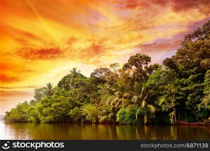 Bright sunrise over lake in jungle