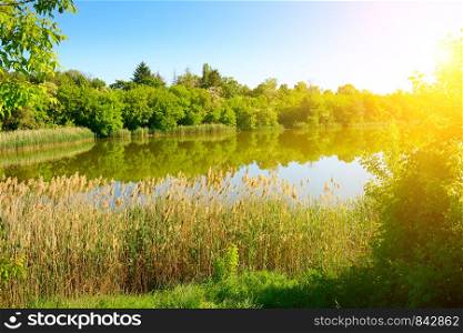 Bright sunset over picturesque summer lake. Copy space