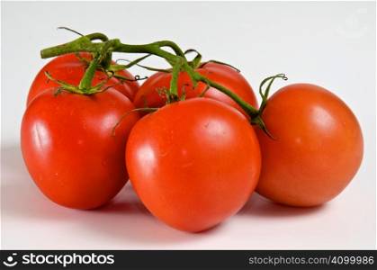 bright tomatoes on the vine