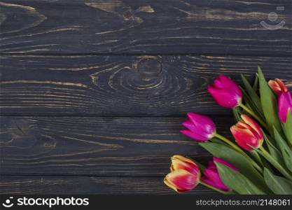 bright tulips corner
